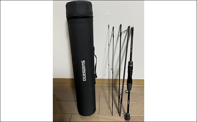 「常夜灯周りでアジがバッシャバシャ！」南大阪の波止アジングで豆アジ入れ食いを満喫