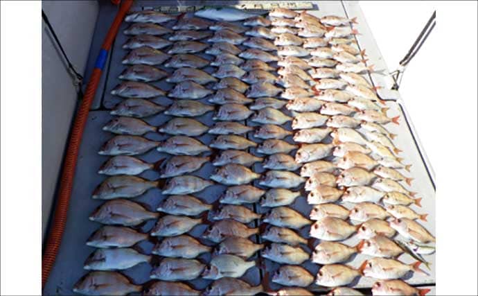 【沖釣り釣果速報】伊良湖沖でビッグヒガンフグ＆カワハギ好調！良型揃って冬の旬満喫（愛知）