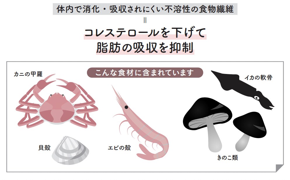 驚きの成分キチン・キトサンって何?【1週間で勝手に-10歳若返る体になるすごい方法】