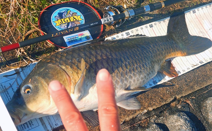 荒川ハクレン釣りで92cm頭に良型2尾手中！【埼玉】 高活性のボラにはお手上げ？