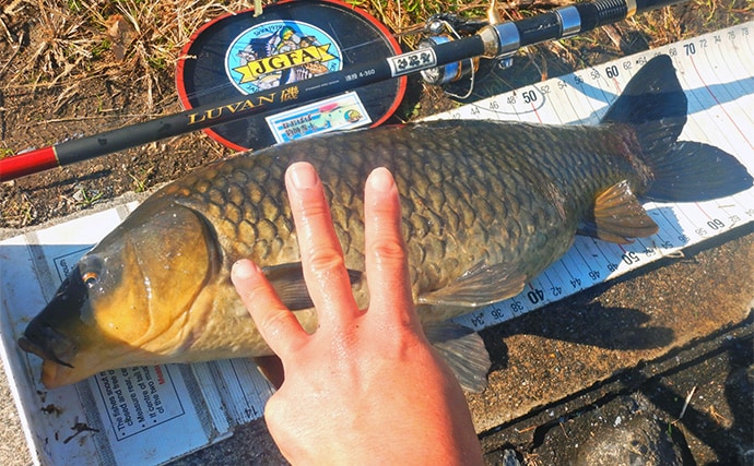 荒川ハクレン釣りで92cm頭に良型2尾手中！【埼玉】 高活性のボラにはお手上げ？