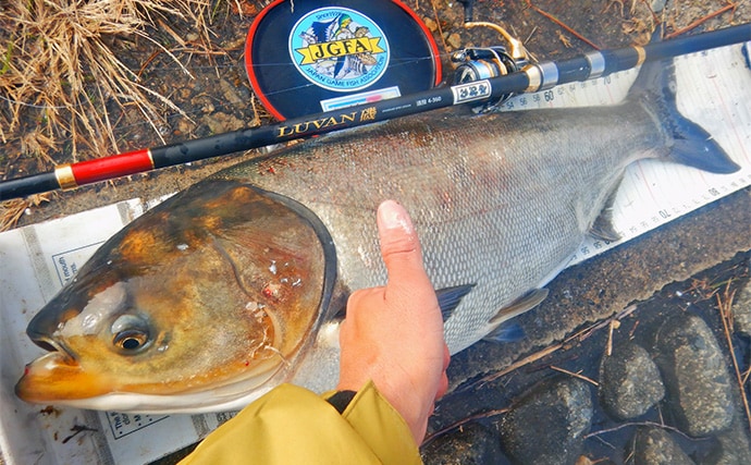 荒川ハクレン釣りで92cm頭に良型2尾手中！【埼玉】 高活性のボラにはお手上げ？