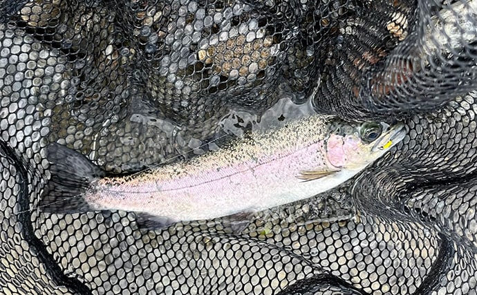 電車での管理釣り場釣行は小旅行気分？　フライフィッシングでニジマス25匹好捕