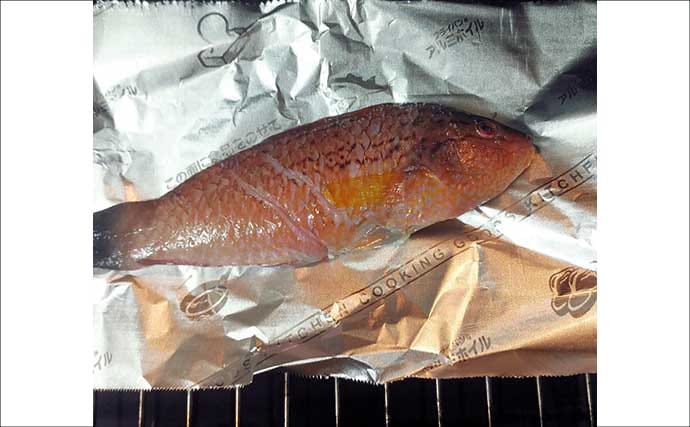 ゲスト魚で作る「自然食」レシピ：ベラのちょい干し　薄塩がポイント