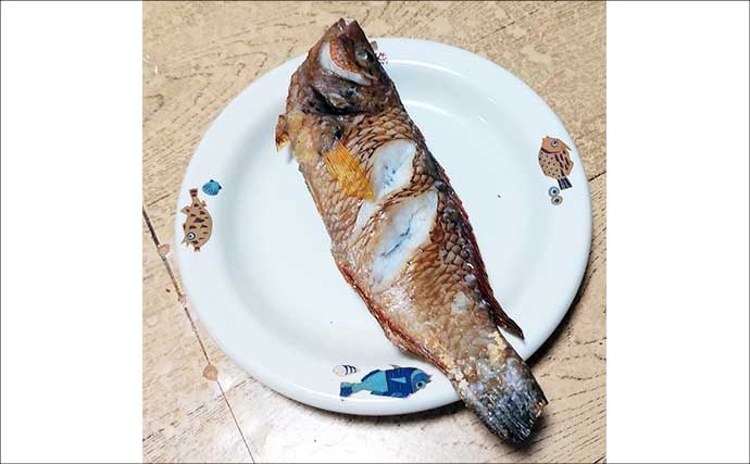 ゲスト魚で作る「自然食」レシピ：ベラのちょい干し　薄塩がポイント