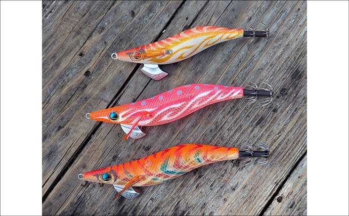 迫間浦のイカダ釣行でエギングと五目釣りを1日で満喫！【三重】アオリ8匹＆アジ25匹の好釣果