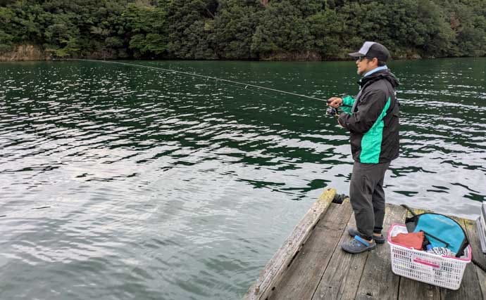 迫間浦のイカダ釣行でエギングと五目釣りを1日で満喫！【三重】アオリ8匹＆アジ25匹の好釣果