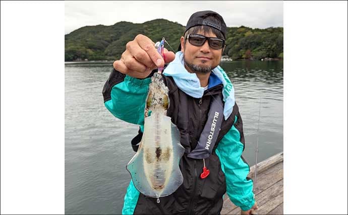 迫間浦のイカダ釣行でエギングと五目釣りを1日で満喫！【三重】アオリ8匹＆アジ25匹の好釣果