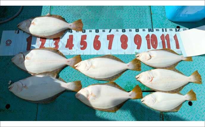 「メバル・カサゴ絶好調！」1投目からラストまで入れ食い続く日も【船釣り最釣果速報・愛知】