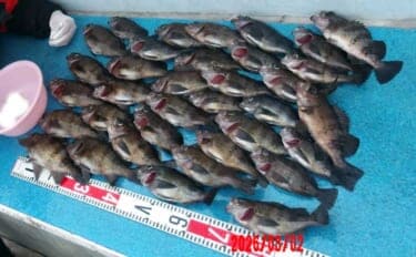 「メバル・カサゴ絶好調!」1投目からラストまで入れ食い続く日も【船釣り最釣果速報・愛知】