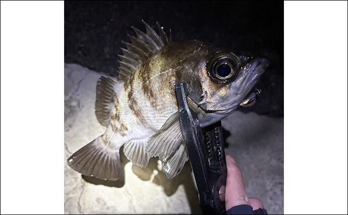 「集中力が切れると大型魚が釣れる？」 狙うとなぜか釣れない釣りアルアル