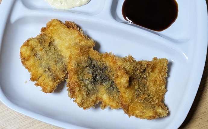 マハタジギングでまさかのシイラがヒット【三重】季節外れの連発の不思議