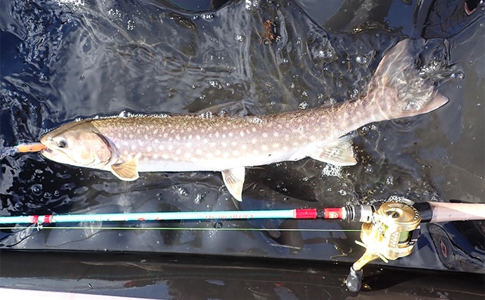 釧路湿原で「幻の魚」イトウを追う　静けさが支配する大自然をカヌーで進む