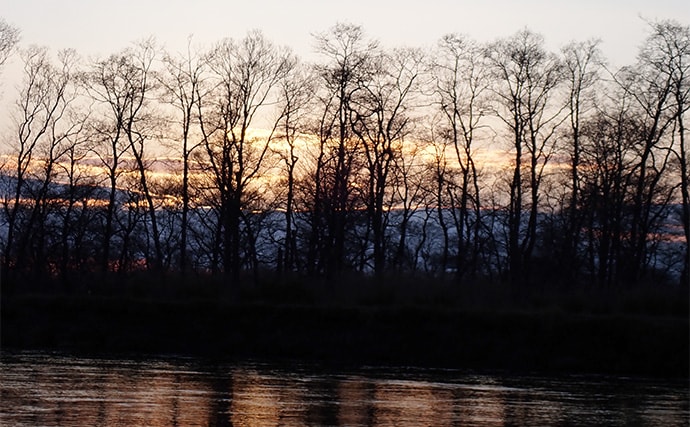 釧路湿原で「幻の魚」イトウを追う　静けさが支配する大自然をカヌーで進む