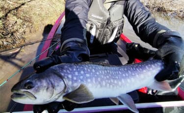 釧路湿原で「幻の魚」イトウを追う 静けさが支配する大自然をカヌーで進む