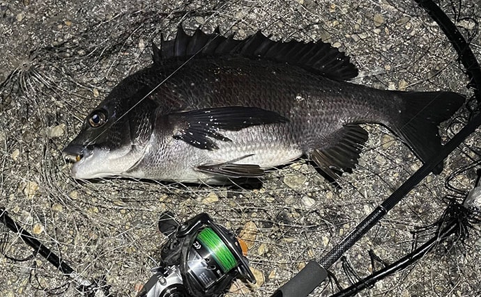 ハイプレッシャーポイントでチヌ（クロダイ）を釣る方法　フィネス化が有効