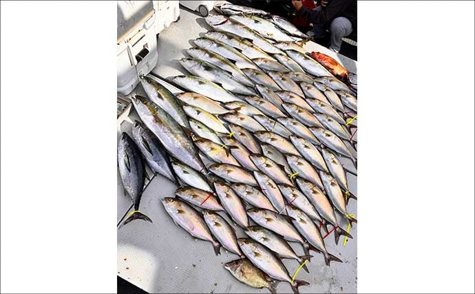 【沖釣り釣果速報】玄界灘の落とし込み釣りで1m級ヒラマサ続出!(福岡)