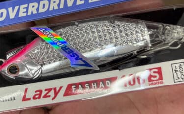 秋は陸っぱりルアー釣りを楽しもう！今使える【シーバス・青物・アオリイカ】のルアー