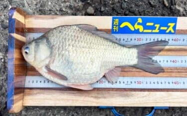 吉田康雄のザ・チャレンジへらぶな【早春の霞ヶ浦で一発勝負！！#2】