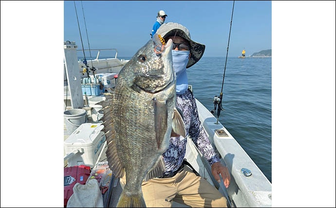 「年イチ級の大ダイ浮上!」伊勢湾エリアのタイラバで70cm超マダイをキャッチ【愛知】