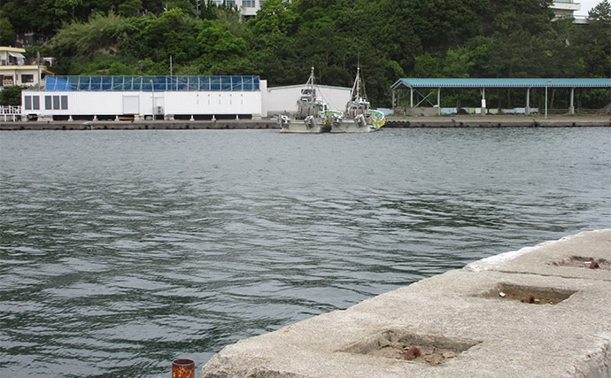 「冬はキス釣りオフシーズン」は間違い！　厳寒期の投げ釣りのポイントと楽しみ方を解説