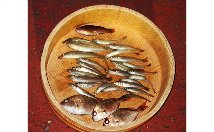 「冬はキス釣りオフシーズン」は間違い！　厳寒期の投げ釣りのポイントと楽しみ方を解説