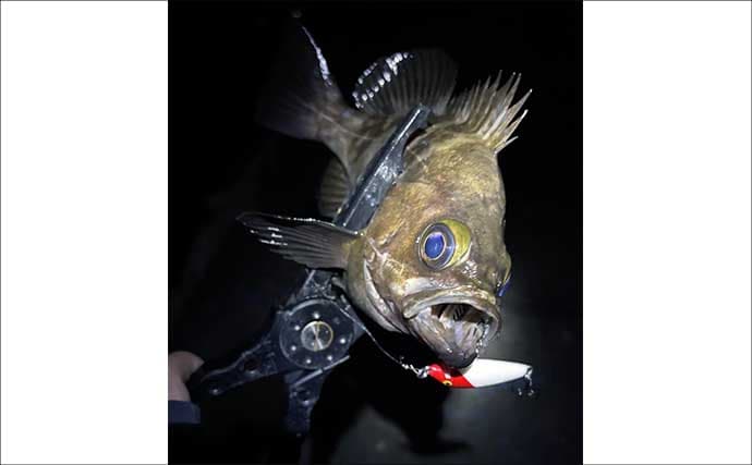 「春は小型ルアーで釣る！」だけでは通用しない　気づかれないリスクとは？