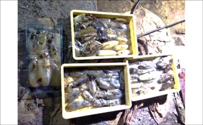 関西エリアの【船釣り特選釣果】タイラバで大ダイ86.5cm!ティップランでは竿頭18匹【京都】