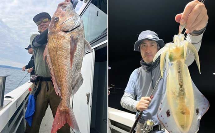 関西エリアの【船釣り特選釣果】タイラバで大ダイ86.5cm!ティップランでは竿頭18匹【京都】