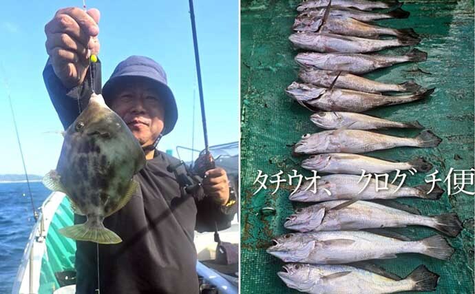 関西エリアの【船釣り特選釣果】タイラバで大ダイ86.5cm!ティップランでは竿頭18匹【京都】