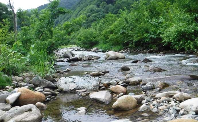 「宿泊とセットがおすすめ！」 渓流フライフィッシング・イチオシ河川：魚野川水系