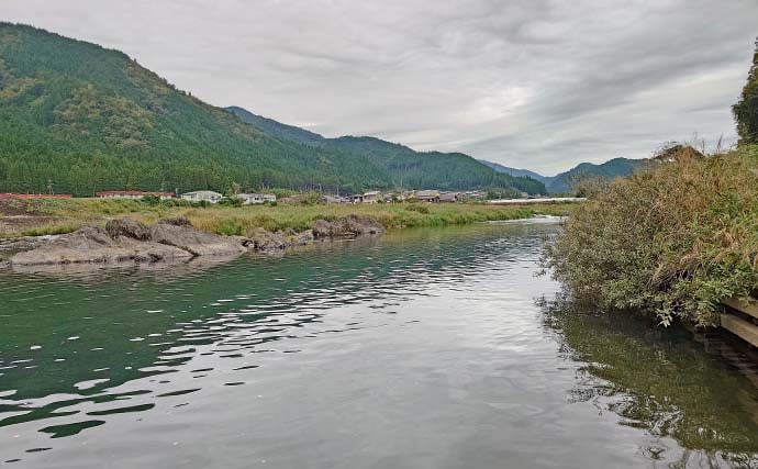 「ノベザオ一本で巨ゴイとガチンコ勝負！」豪快ファイトで76cmを手中【岐阜・長良川郡上】