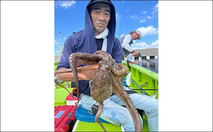 東京湾で船中マダコ100杯超え!【横内丸】金沢八景沖をエギタコ釣りで探る