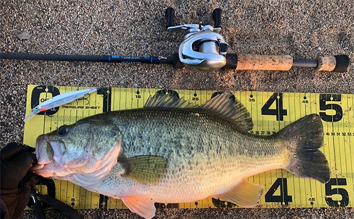 【マイクロガイドのメリット・デメリット】 バス釣りでの本当の使いどころを解説