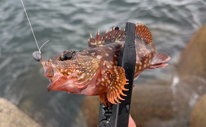 真冬の澄みきった潮は魚が釣れない？　そんな時は穴釣りを試してみよう