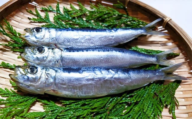 脳の神経細胞が必要とするオメガ3を取るにはイワシが最適だ