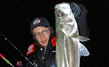 九頭竜川のリバーシーバスゲームで80cmランカー捕獲!【福井】細身ミノーがハマった夜