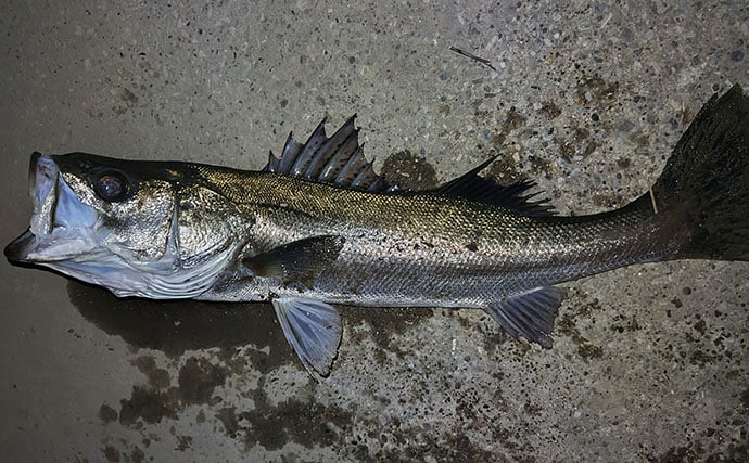 話題の「リカバリーウェア」は釣り人にも有効か？ 効果的な使い方を紹介