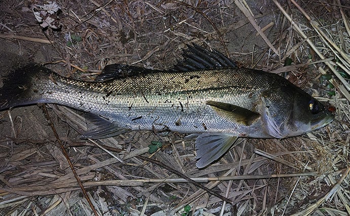 話題の「リカバリーウェア」は釣り人にも有効か？ 効果的な使い方を紹介