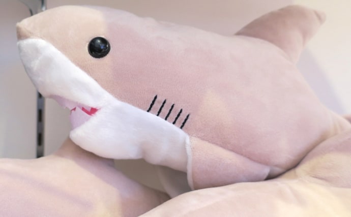 「怖い？可愛い？それとも美味しい？」 人によって変わるサメのイメージ