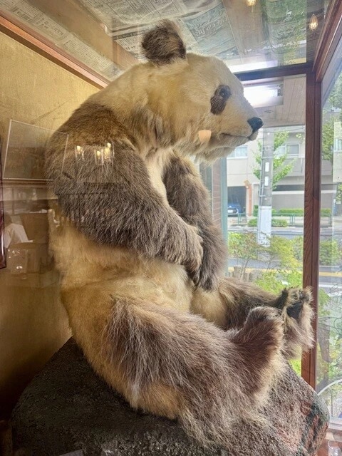 入り口の横には、なぜかパンダの剥製(!?)が......