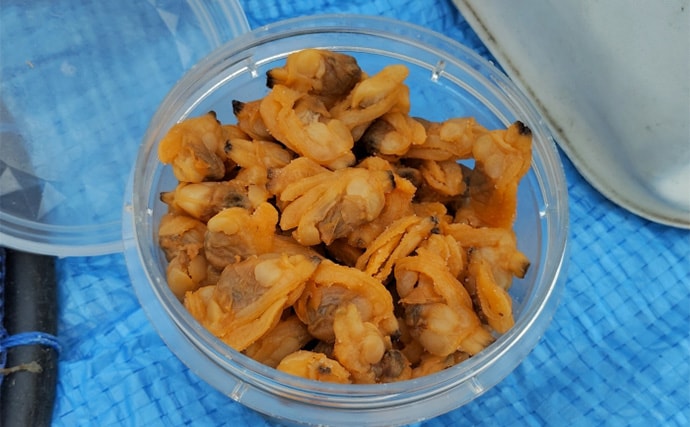 須磨海釣り公園で陸っぱりカワハギ釣りに挑戦【兵庫】エサ取りに苦戦も本命5匹を手中!