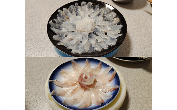 須磨海釣り公園で陸っぱりカワハギ釣りに挑戦【兵庫】エサ取りに苦戦も本命5匹を手中!