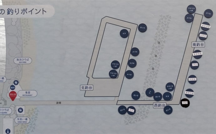 須磨海釣り公園で陸っぱりカワハギ釣りに挑戦【兵庫】エサ取りに苦戦も本命5匹を手中!