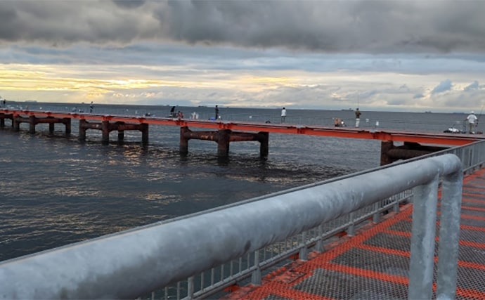 須磨海釣り公園で陸っぱりカワハギ釣りに挑戦【兵庫】エサ取りに苦戦も本命5匹を手中!