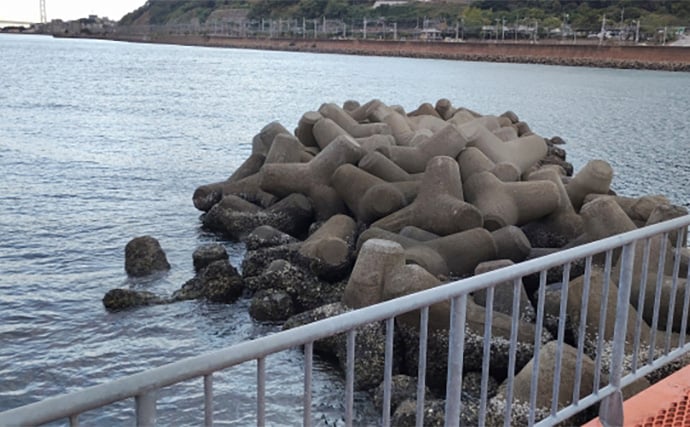 須磨海釣り公園で陸っぱりカワハギ釣りに挑戦【兵庫】エサ取りに苦戦も本命5匹を手中!