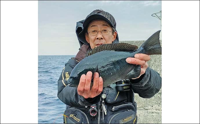 初島のウキフカセ釣りで40cm級メジナ手中【静岡・熱海沖】泳がせではアオリイカも登場