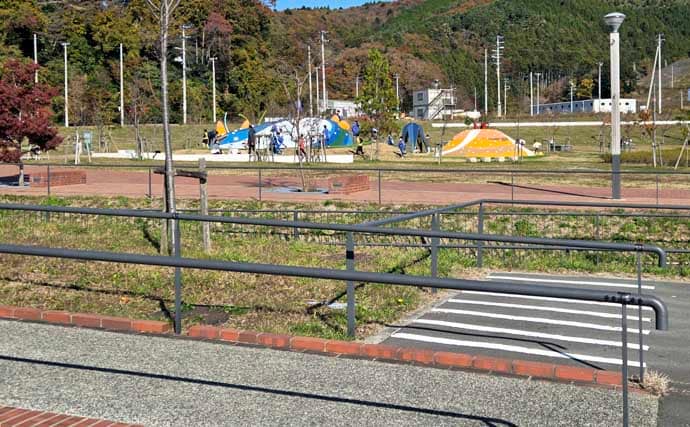 女川港のイワシサビキ釣りで2時間60尾の入れ食いを堪能【宮城】海面が騒ぐほどの群れ来襲