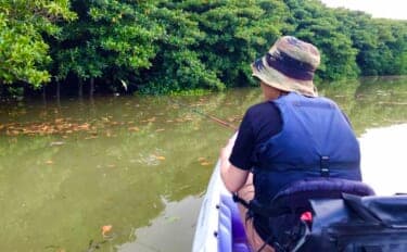 石垣島「マングローブ・カヤックフィッシング」完全ガイド　とびきりの非日常感！