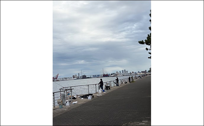 シーサイドコスモでのサゴシゲームで大苦戦【大阪】連日の人的プレッシャーが原因？